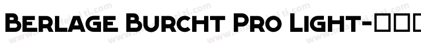 Berlage Burcht Pro Light字体转换